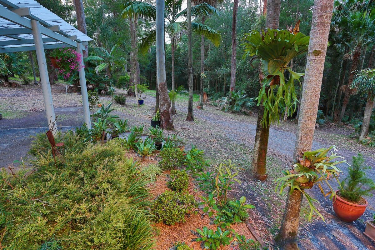 77 Southfork Drive, GLENNING VALLEY NSW 2261, Glenning Valley - Thumbnail 6