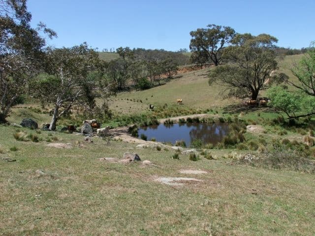 Lot 1 Hampton Road, RYDAL NSW 2790, Rydal - Image 1