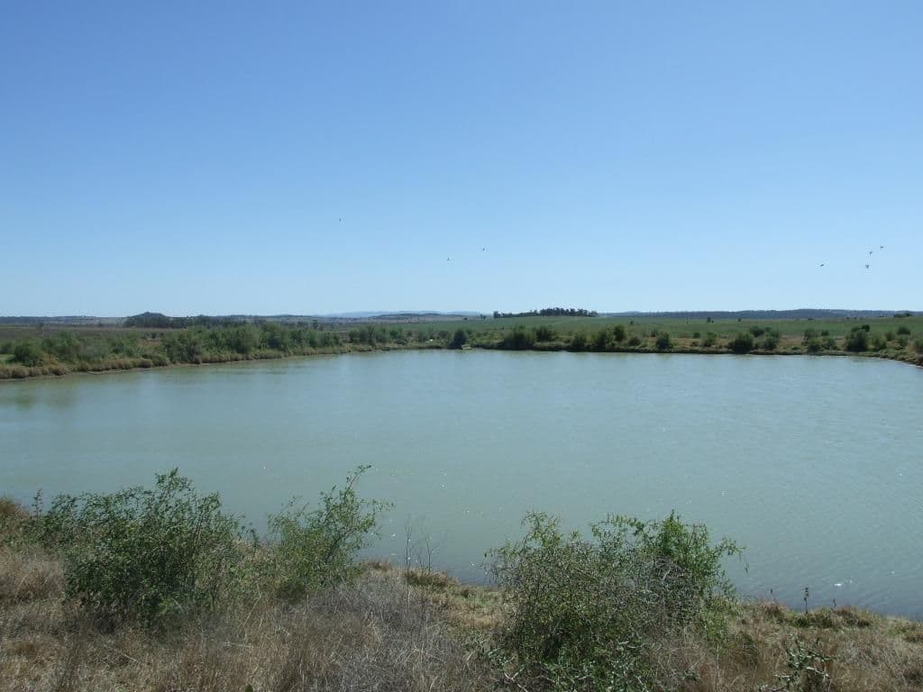 2024 Oakey-Cooyar Road, GOOMBUNGEE QLD 4354, Goombungee - Thumbnail 2