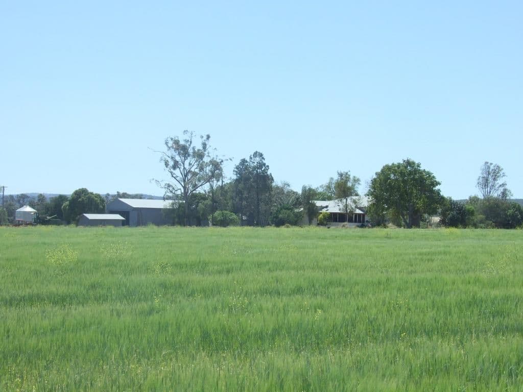 2024 Oakey-Cooyar Road, GOOMBUNGEE QLD 4354, Goombungee - Image 1