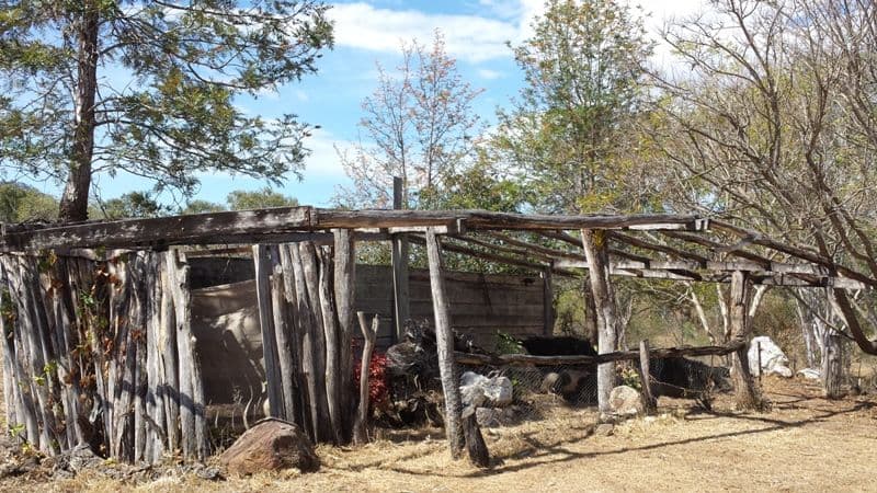 LOT 4 Leathers Road, GIN GIN QLD 4671, Gin Gin - Thumbnail 7
