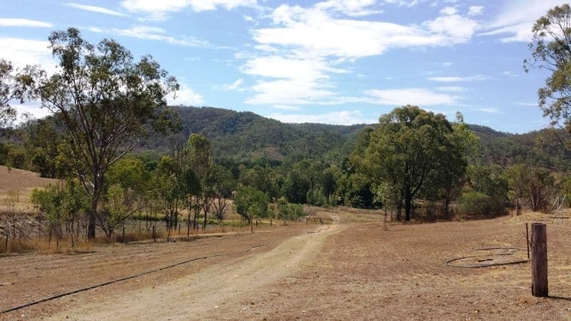 LOT 4 Leathers Road, GIN GIN QLD 4671, Gin Gin - Thumbnail 4