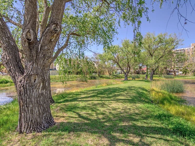 50 Pollard Street, GLENDALOUGH WA 6016, Glendalough - Thumbnail 5