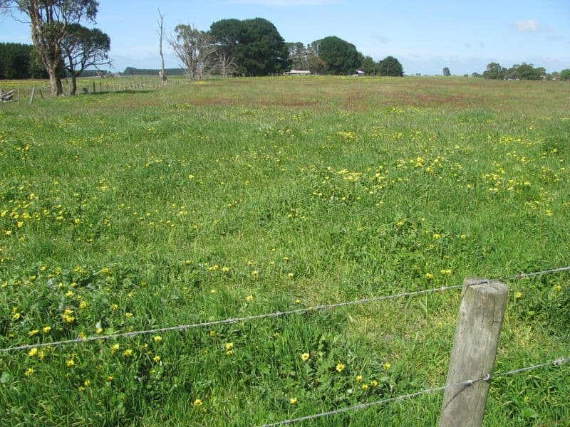 293 Black Swamp Road, MIL-LEL SA 5291, Mil-Lel - Thumbnail 6