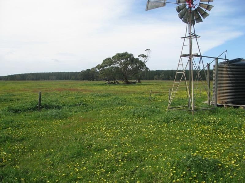 293 Black Swamp Road, MIL-LEL SA 5291, Mil-Lel - Thumbnail 5