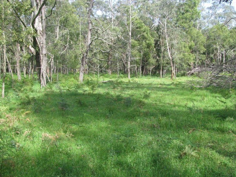 293 Black Swamp Road, MIL-LEL SA 5291, Mil-Lel - Thumbnail 2