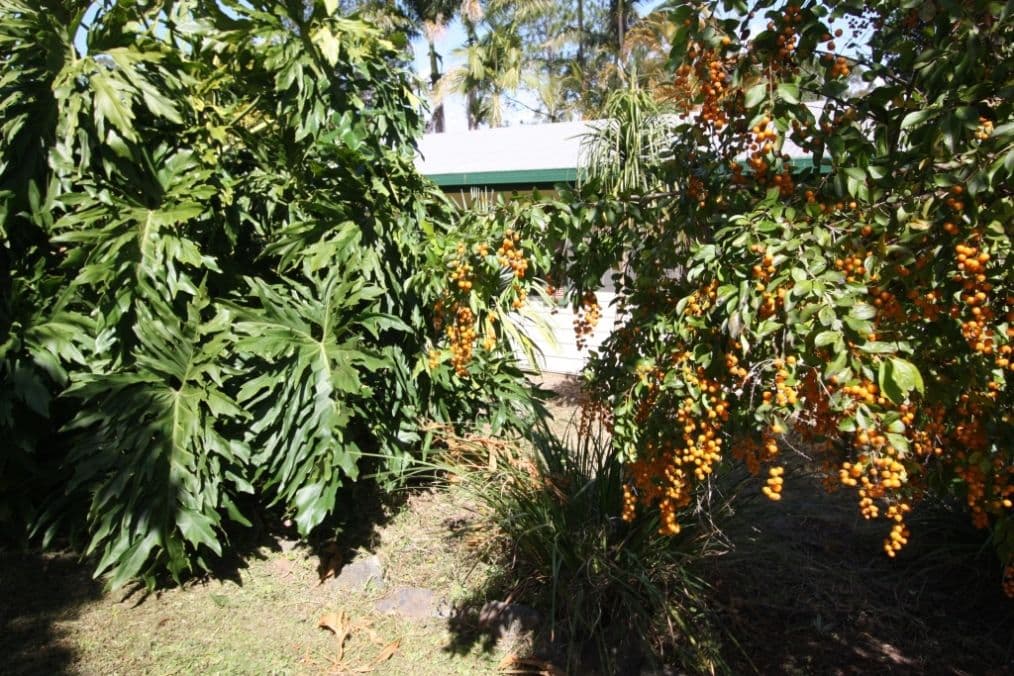 70 Williams Road, EAST DEEP CREEK QLD 4570, East Deep Creek - Thumbnail 5