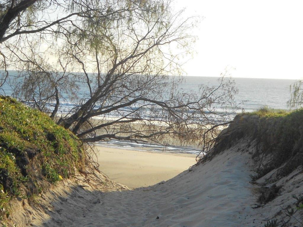 LOT 1 Herbert Hall Road, COONARR QLD 4670, Coonarr - Thumbnail 8