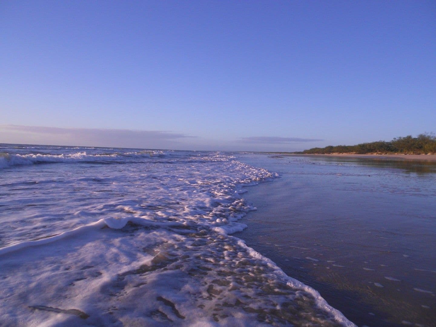 LOT 1 Herbert Hall Road, COONARR QLD 4670, Coonarr - Thumbnail 6