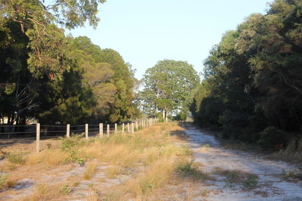 LOT 1 Herbert Hall Road, COONARR QLD 4670, Coonarr - Thumbnail 5