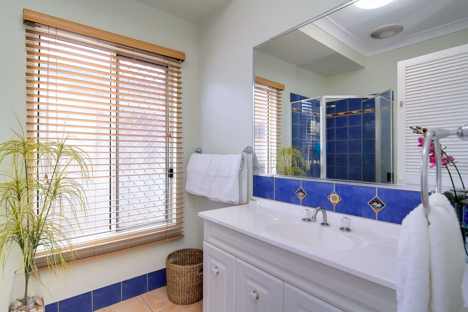 6 Talia Street, Caravonica QLD 4878, Caravonica - Thumbnail 6