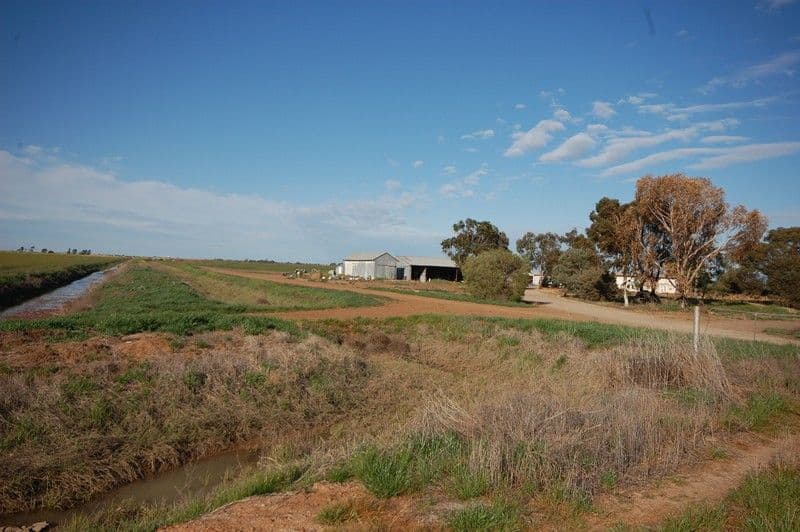 Farm 1060 Crawford Road, HANWOOD NSW 2680, Hanwood - Thumbnail 3