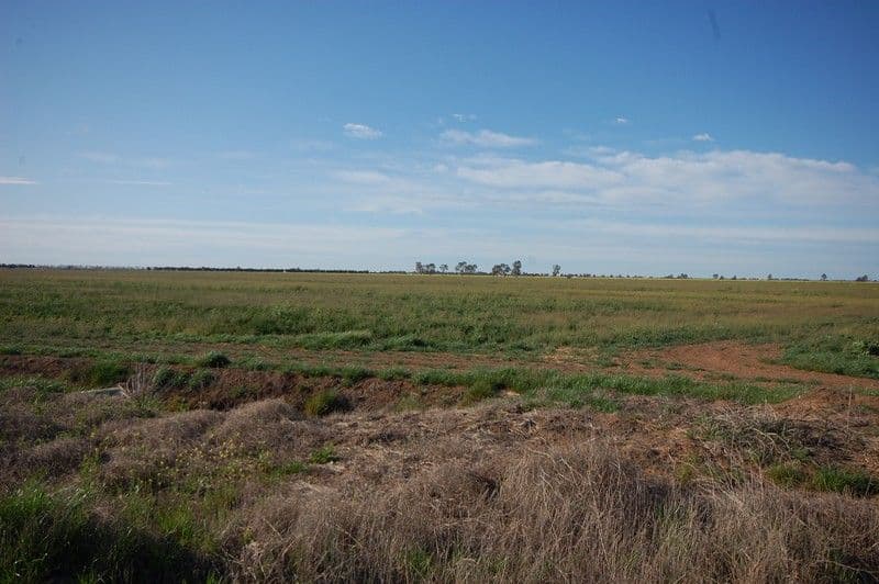 Farm 1060 Crawford Road, HANWOOD NSW 2680, Hanwood - Thumbnail 6