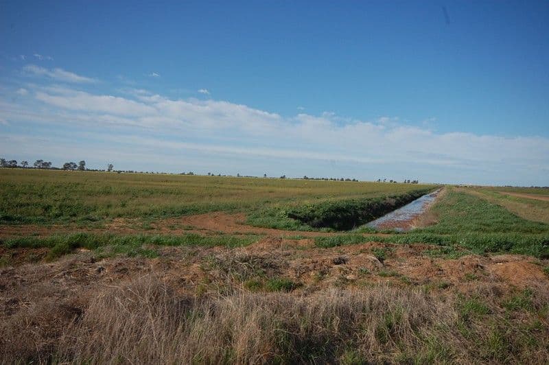 Farm 1060 Crawford Road, HANWOOD NSW 2680, Hanwood - Thumbnail 5