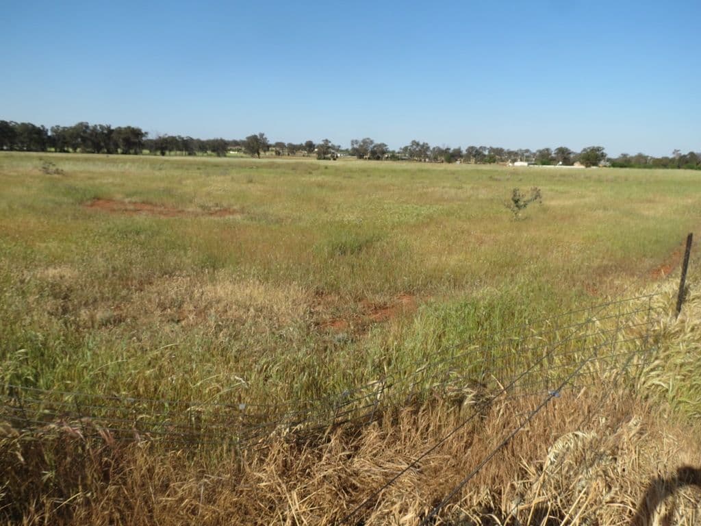 23-33 Chifley Street, TEMORA NSW 2666, Temora - Thumbnail 2