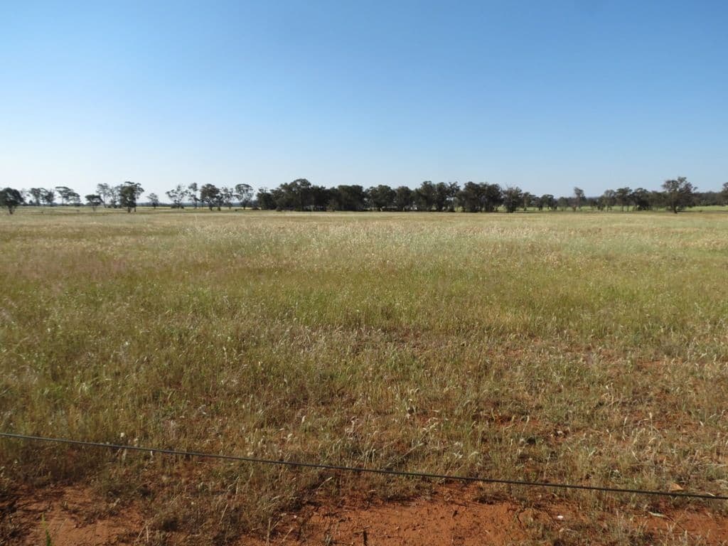 23-33 Chifley Street, TEMORA NSW 2666, Temora - Thumbnail 3