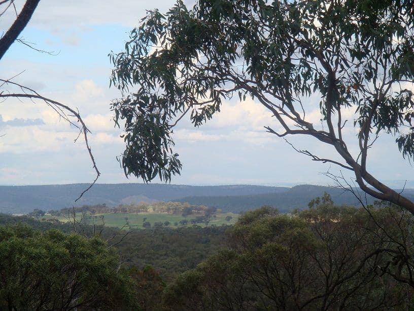 315 Chatmans Road, PARKES NSW 2870, Parkes - Thumbnail 4
