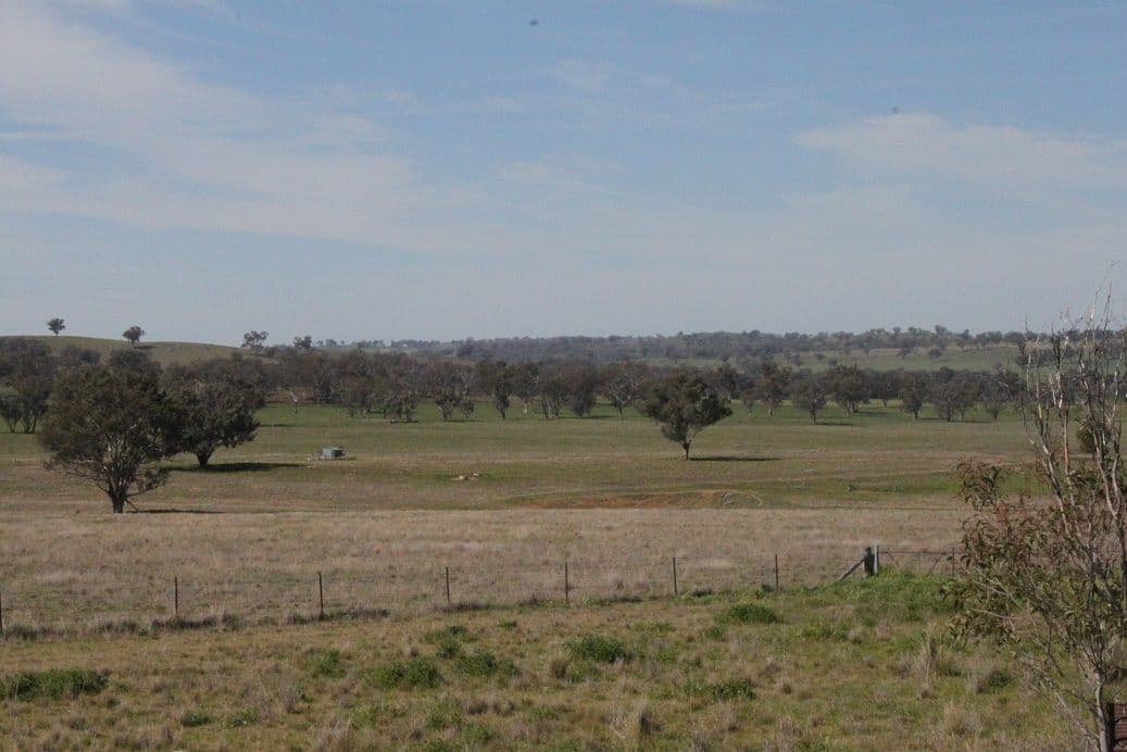 602 Blatches Lane, YEOVAL NSW 2868, Yeoval - Thumbnail 2