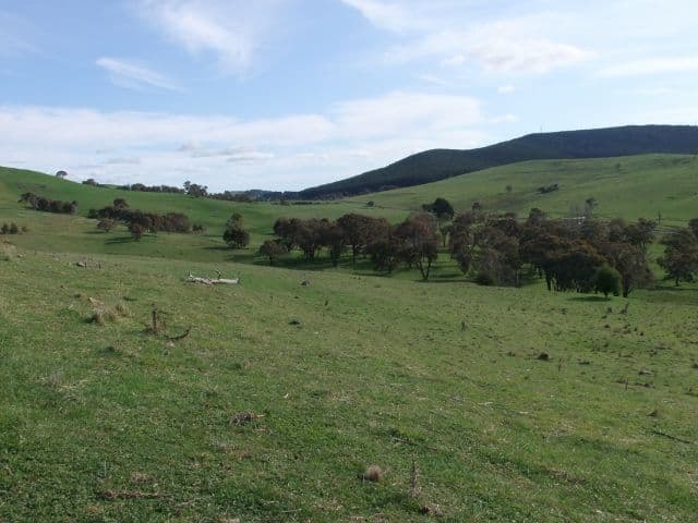0 Neville Road, BLAYNEY NSW 2799, Blayney - Thumbnail 4