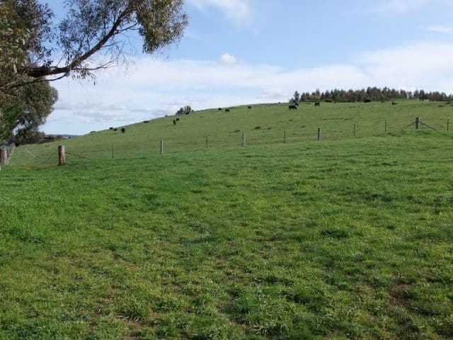 0 Neville Road, BLAYNEY NSW 2799, Blayney - Thumbnail 7