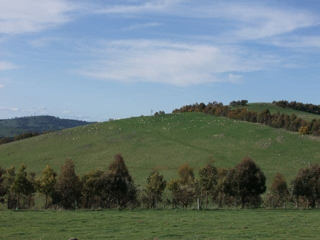 0 Neville Road, BLAYNEY NSW 2799, Blayney - Thumbnail 8