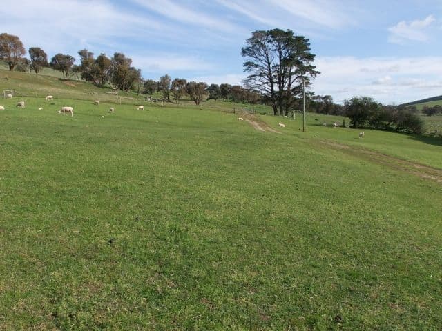 0 Neville Road, BLAYNEY NSW 2799, Blayney - Thumbnail 3