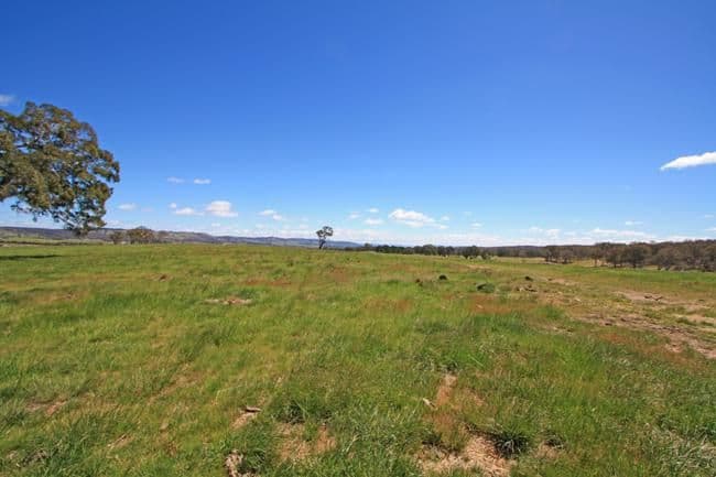 141 Neils Creek Road, BUNGENDORE NSW 2621, Bungendore - Thumbnail 7
