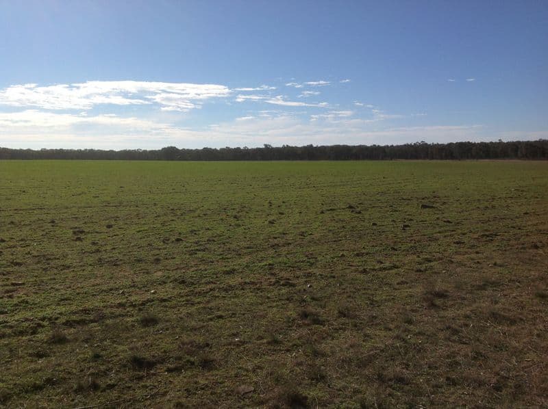 Lot 4 North Pine Creek, COONABARABRAN NSW 2357, Coonabarabran - Thumbnail 3