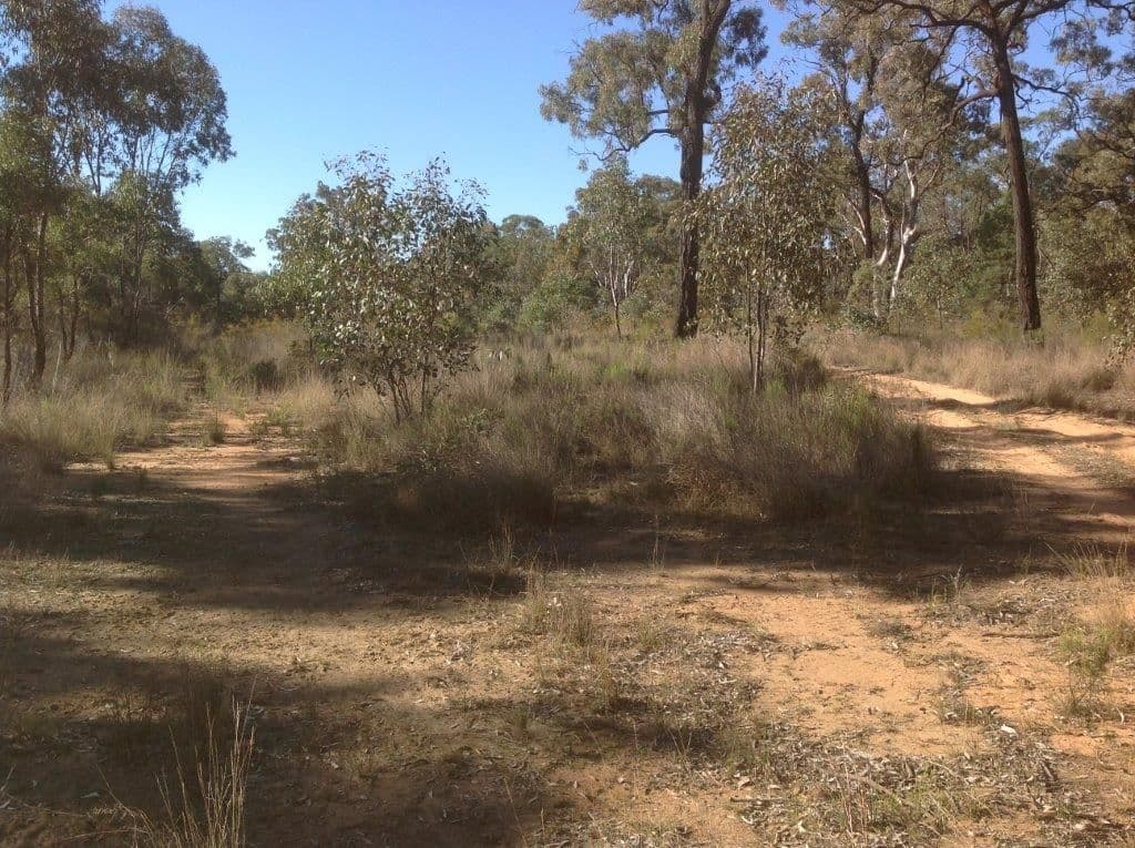 Lot 4 North Pine Creek, COONABARABRAN NSW 2357, Coonabarabran - Thumbnail 5