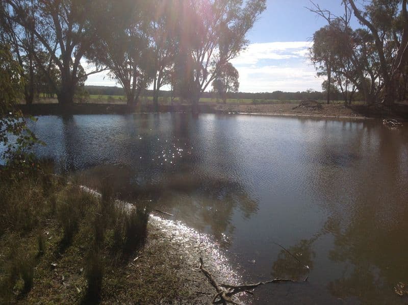 Lot 4 North Pine Creek, COONABARABRAN NSW 2357, Coonabarabran - Thumbnail 8