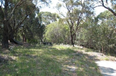 16 Foreman Drive, BARDEN RIDGE NSW 2234, Barden Ridge - Thumbnail 3
