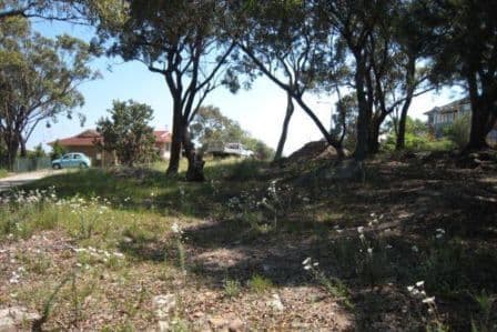 16 Foreman Drive, BARDEN RIDGE NSW 2234, Barden Ridge - Thumbnail 4