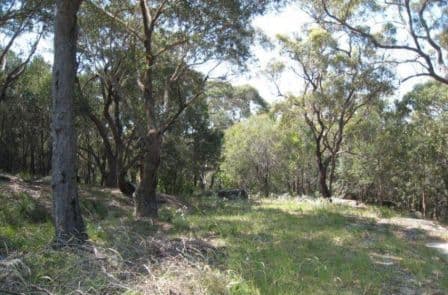 16 Foreman Drive, BARDEN RIDGE NSW 2234, Barden Ridge - Thumbnail 2