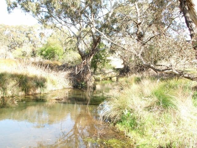 1831 Mitchell Highway, BATHURST NSW 2795, Bathurst - Thumbnail 4