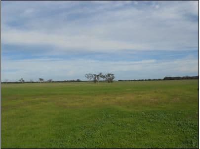 42  (Lot 100) Canal Rd Lowan Vale, BORDERTOWN SA 5268, Bordertown - Thumbnail 5