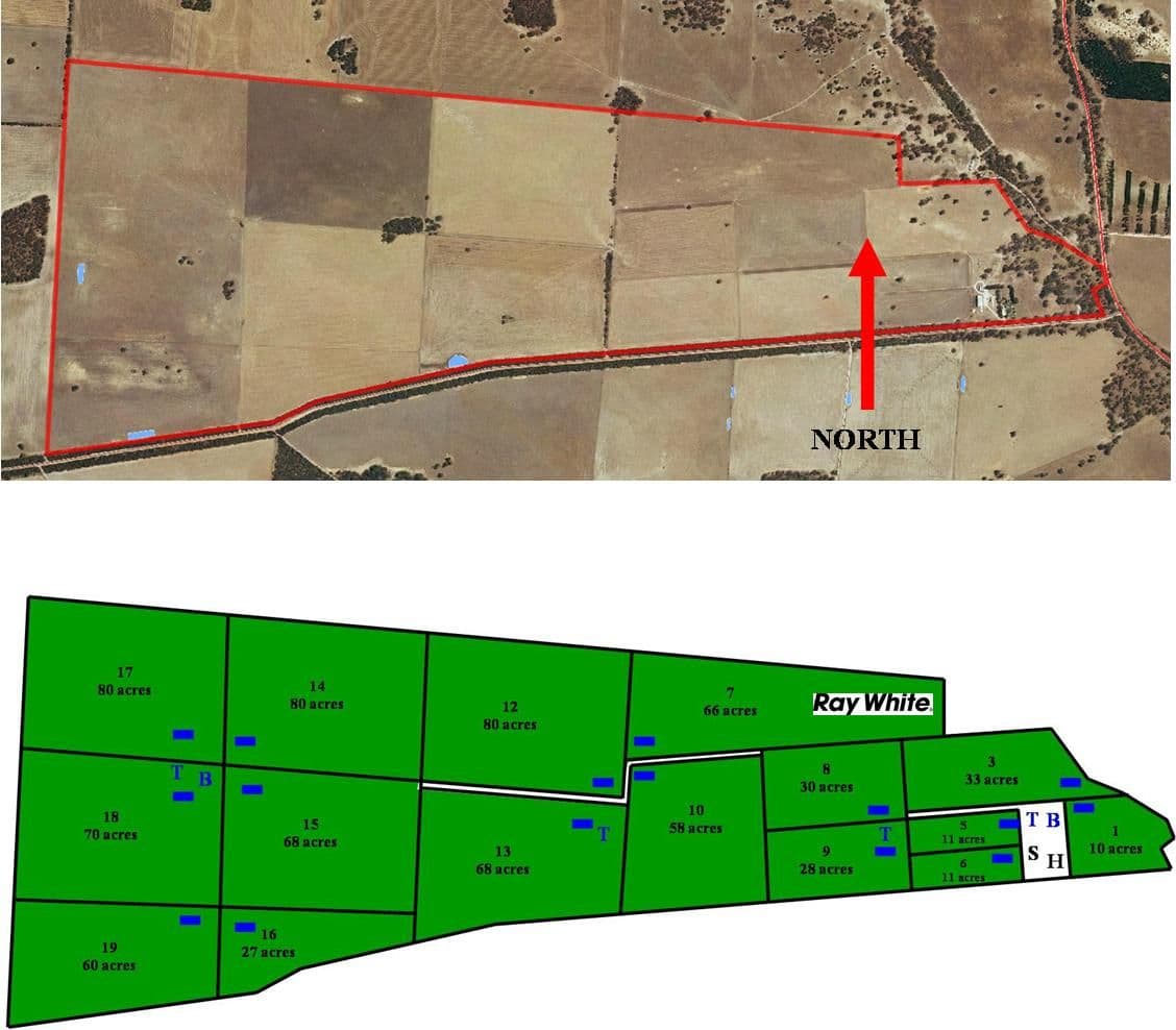 42  (Lot 100) Canal Rd Lowan Vale, BORDERTOWN SA 5268, Bordertown - Thumbnail 6