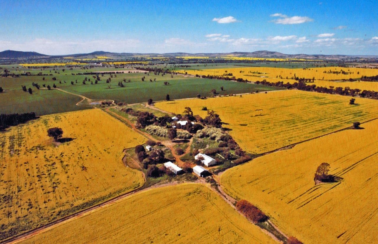 3 Finlayson's Lane, YERONG CREEK NSW 2642, Yerong Creek - Image 1