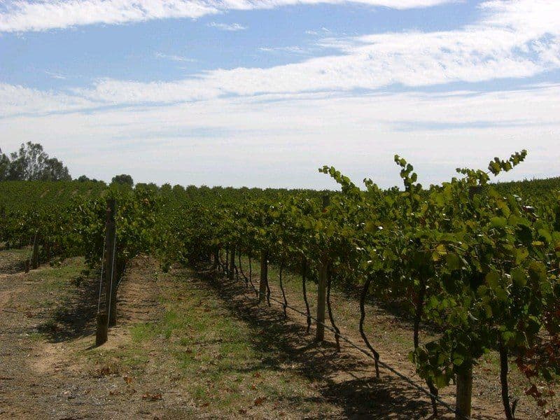 00 Barooga Road, TOCUMWAL NSW 2714, Tocumwal - Thumbnail 4
