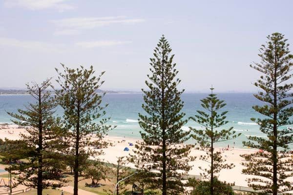 190 Marine Parade ' Columbia Apartments', RAINBOW BAY QLD 4225, Rainbow Bay - Thumbnail 3