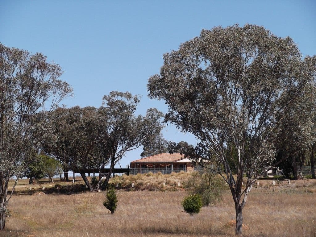 8 Impala Estate Road, TAMWORTH NSW 2340, Tamworth - Image 1