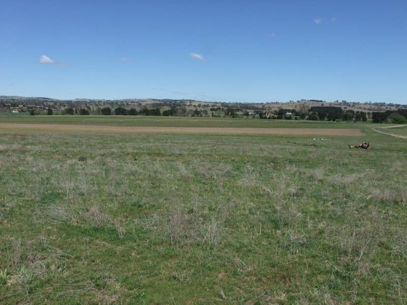 287 River Road, O'CONNELL NSW 2795, O'Connell - Thumbnail 5