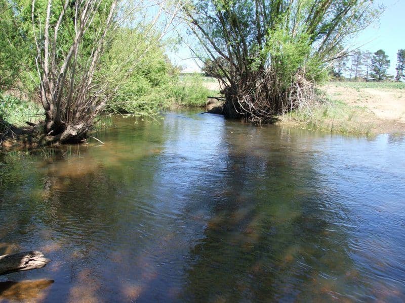287 River Road, O'CONNELL NSW 2795, O'Connell - Thumbnail 3