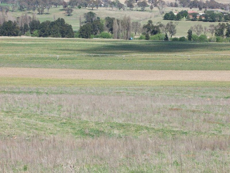 287 River Road, O'CONNELL NSW 2795, O'Connell - Thumbnail 4