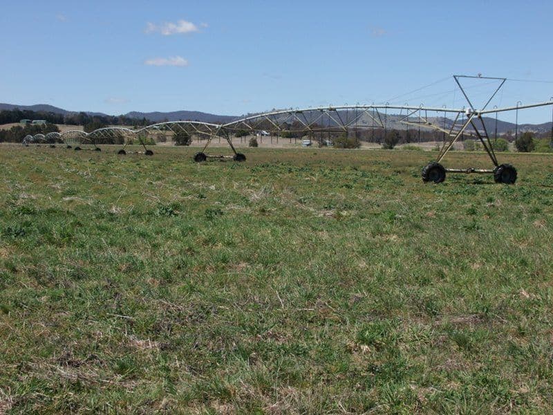 287 River Road, O'CONNELL NSW 2795, O'Connell - Thumbnail 7