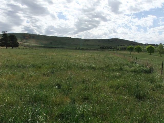 BLAYNEY NSW 2799, Blayney - Thumbnail 5