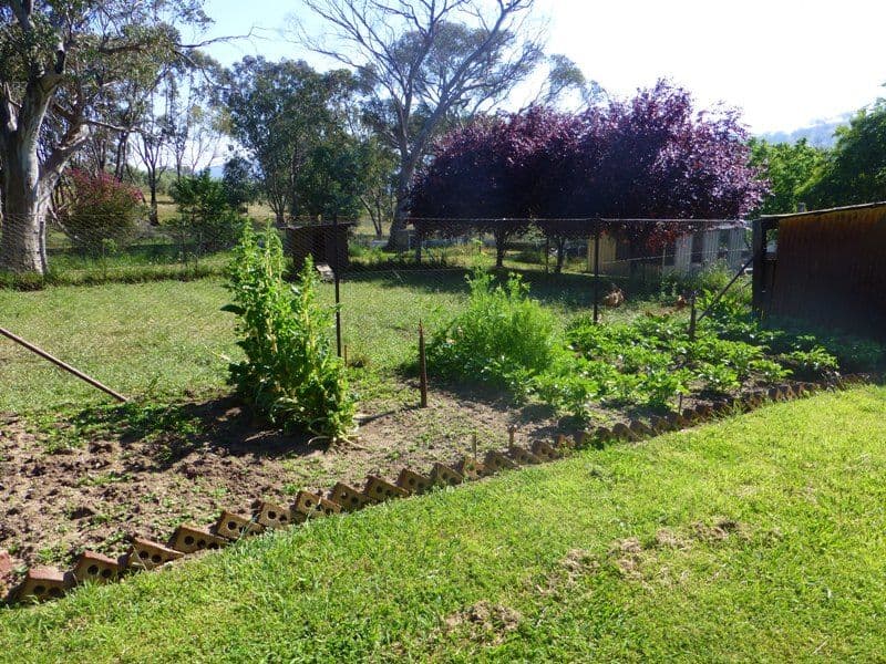 PEEL NSW 2795, Peel - Thumbnail 4