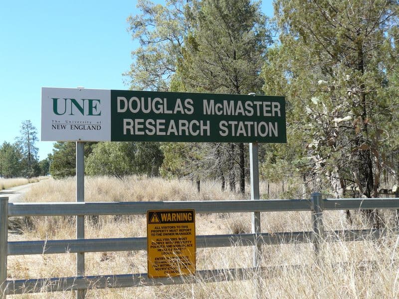 WARIALDA NSW 2402, Warialda - Thumbnail 3