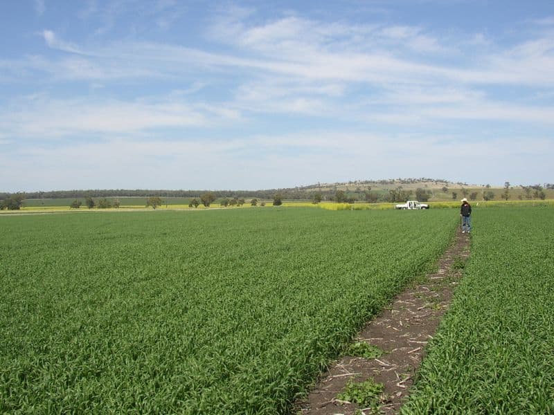 WARIALDA NSW 2402, Warialda - Image 1