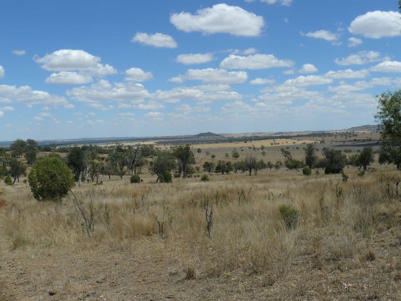 WARIALDA NSW 2402, Warialda - Thumbnail 7