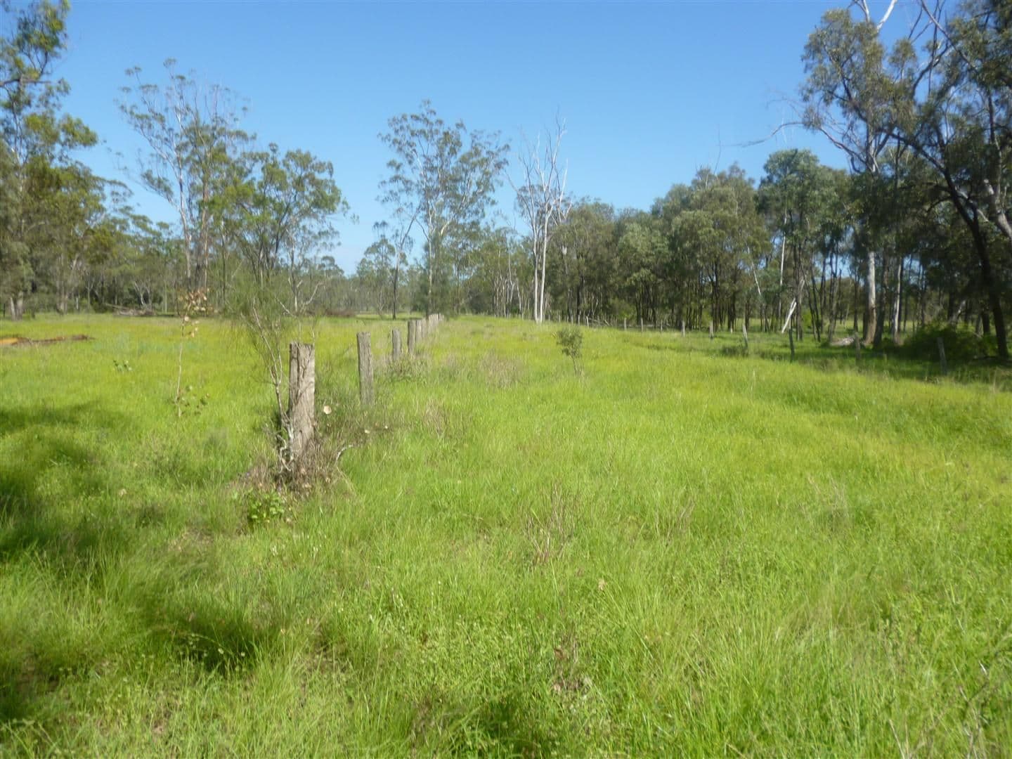 BAJOOL QLD 4699, Bajool - Thumbnail 5